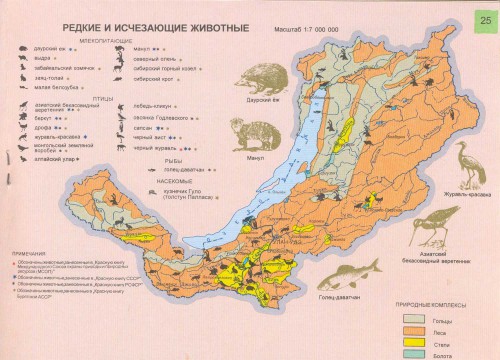 zhivotn